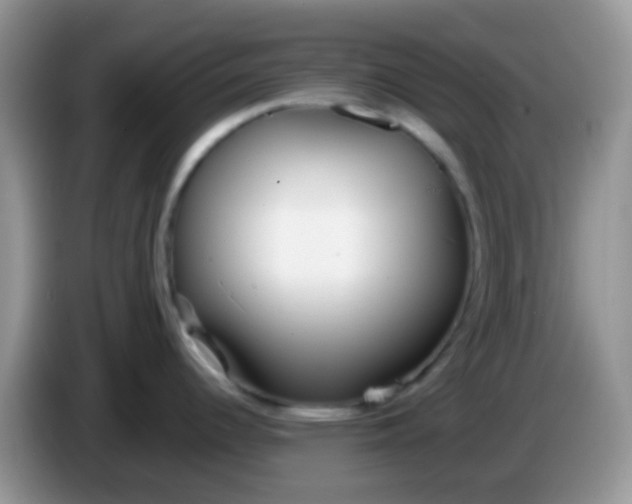 X0000086251344200704121945