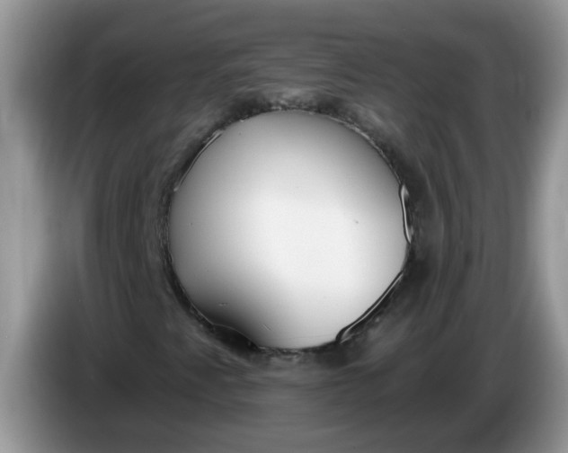 X0000086251345200704121944