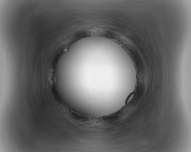X0000086251346200704121944