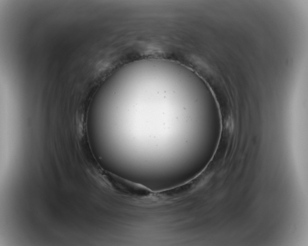 X0000086251348200704121944