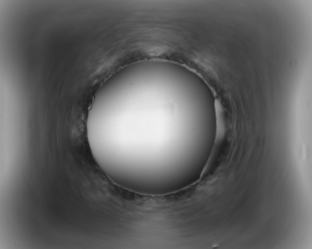 X0000086251349200704121944