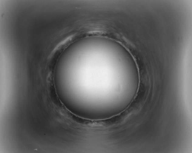 X0000086251351200704121944