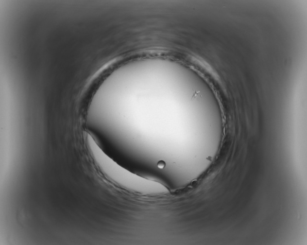 X0000086251352200704121944