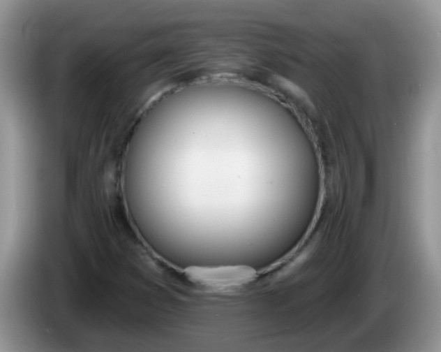 X0000086251353200704121944