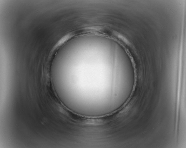 X0000086251354200704121944