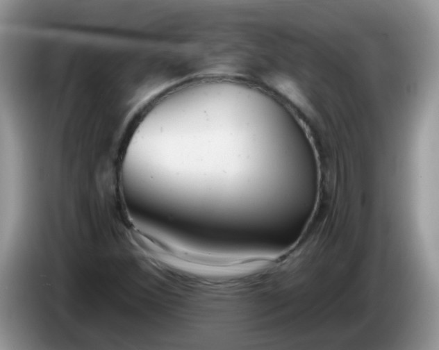 X0000086251356200704121944
