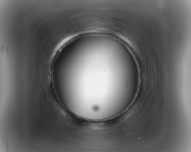 X0000086251363200704121944