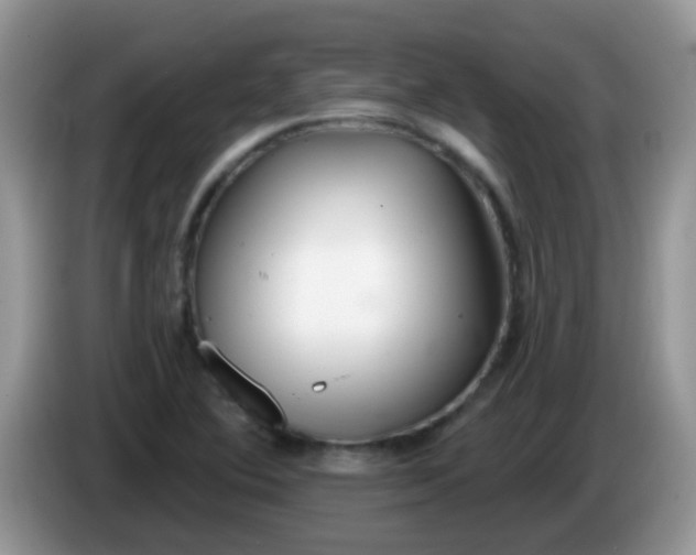 X0000086251364200704121944
