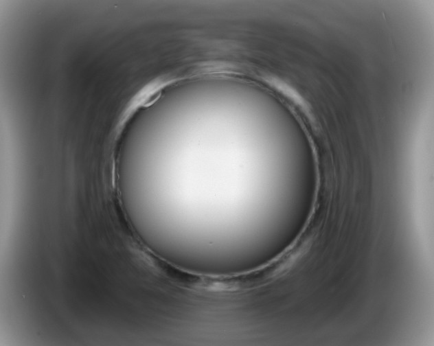 X0000086251365200704121944