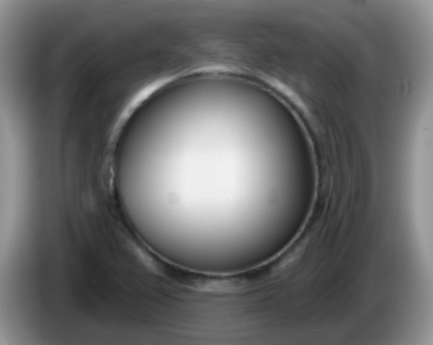 X0000086251367200704121944
