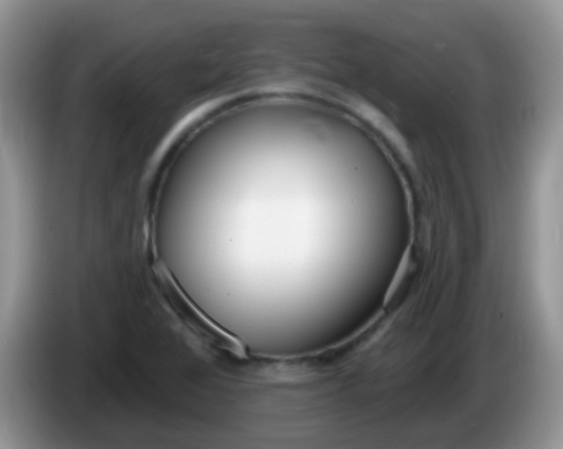 X0000086251368200704121944