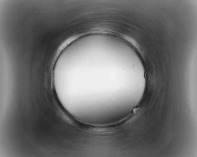 X0000086251371200704121944