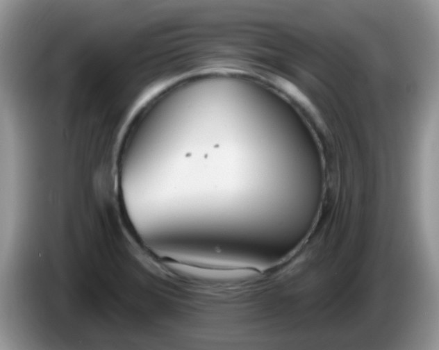 X0000086251372200704121944