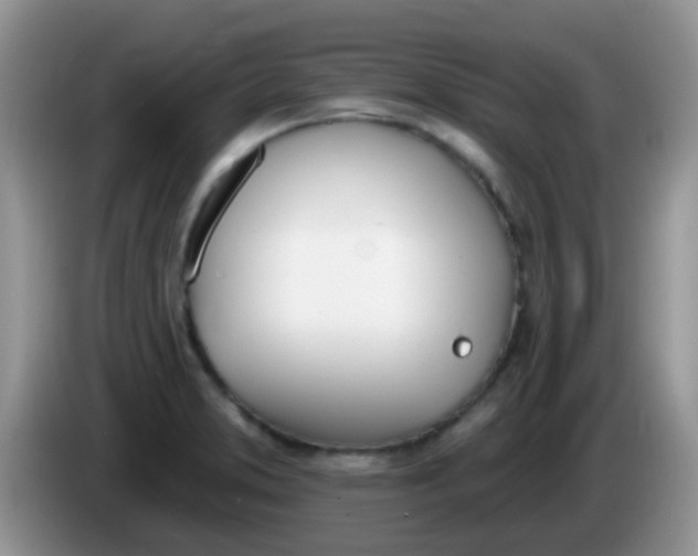 X0000086251373200704121944