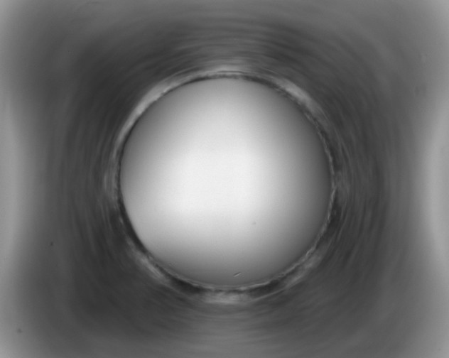 X0000086251374200704121944
