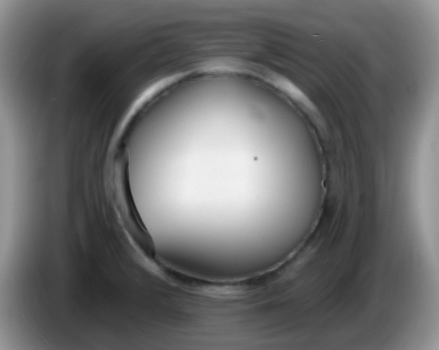 X0000086251376200704121944