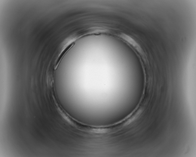 X0000086251377200704121944