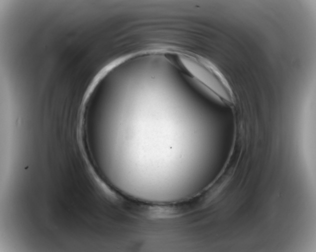 X0000086251379200704121944