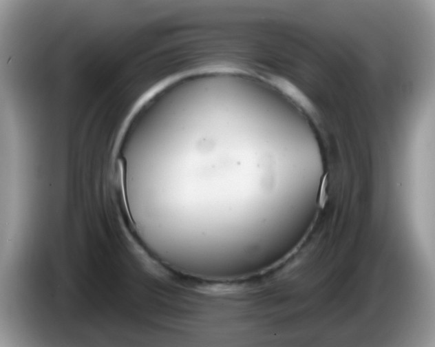 X0000086251380200704121944