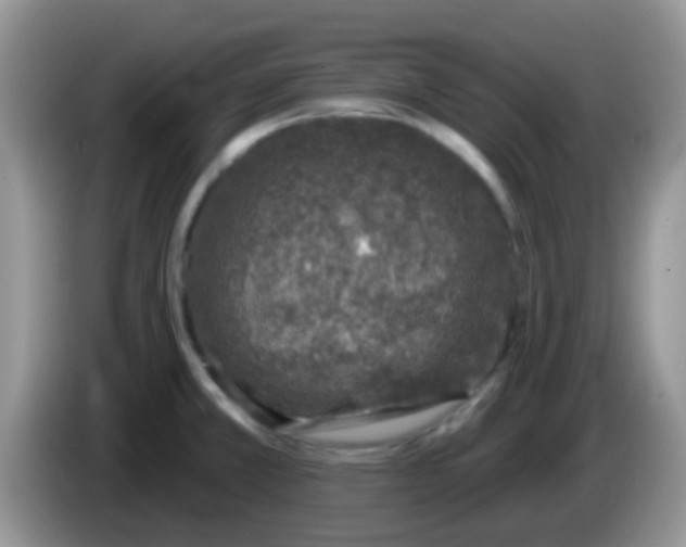 X0000086251381200704121944