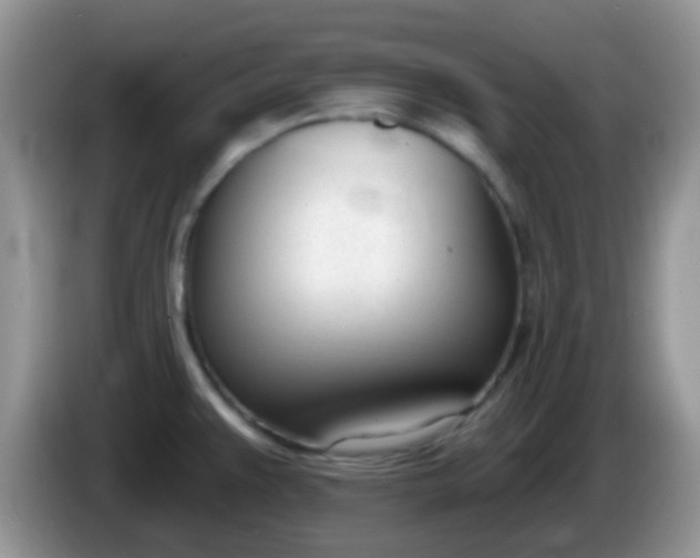 X0000086251383200704121944