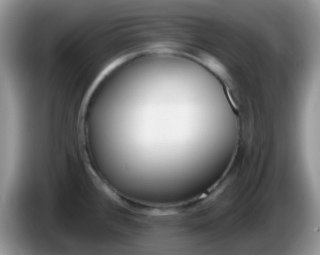X0000086251384200704121944