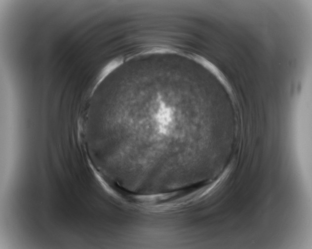 X0000086251385200704121943