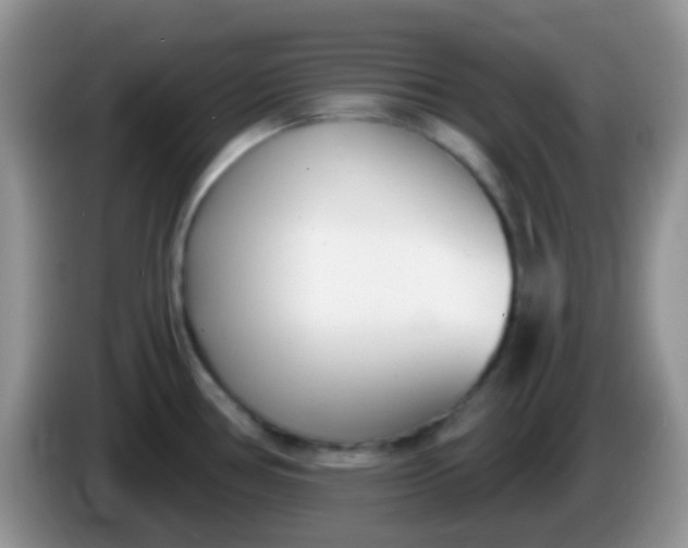 X0000086251386200704121943