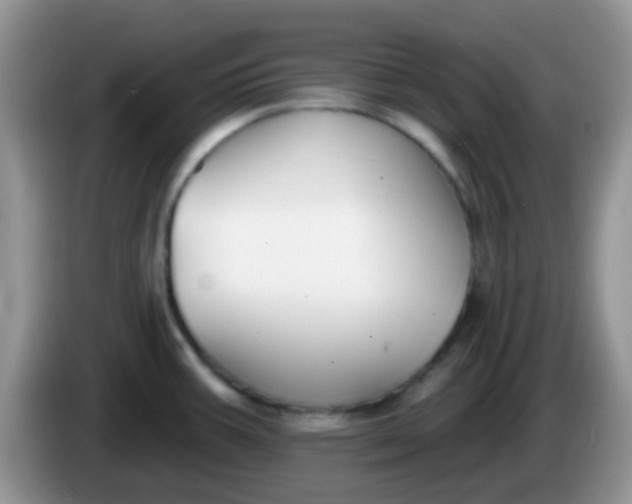 X0000086251387200704121943