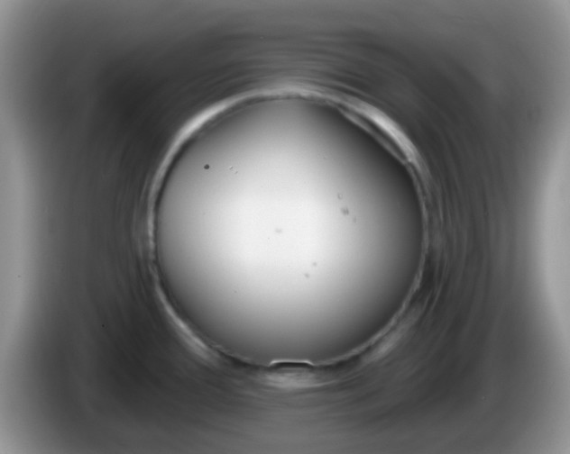 X0000086251388200704121943