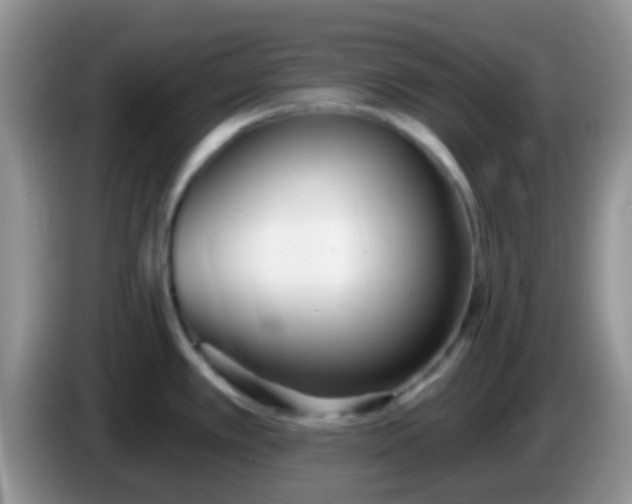 X0000086251389200704121943