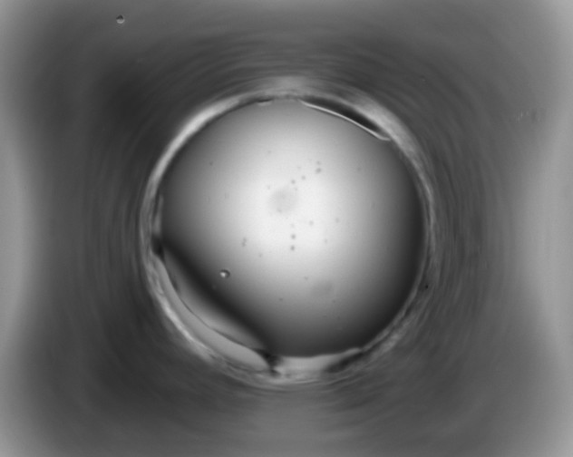 X0000086251392200704121943