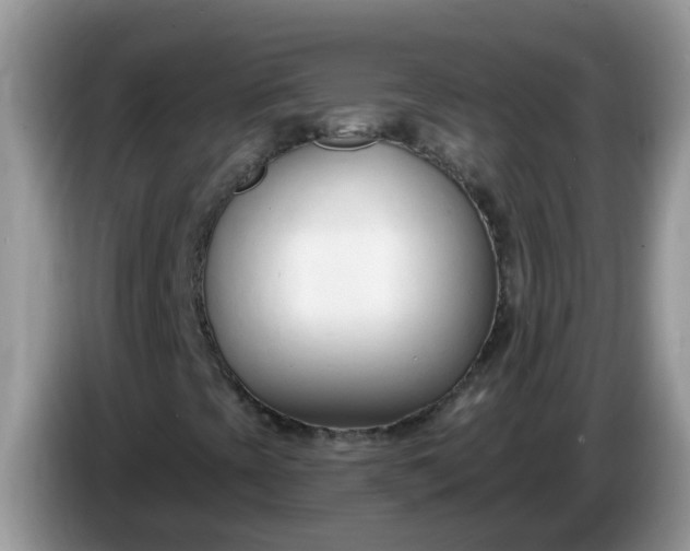 X0000086251393200704121943