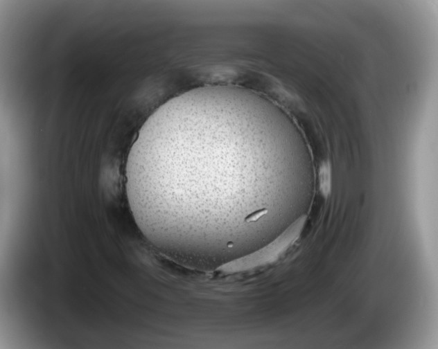 X0000086251395200704121943