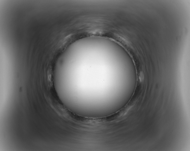 X0000086251396200704121943