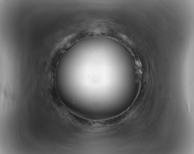 X0000086251398200704121943
