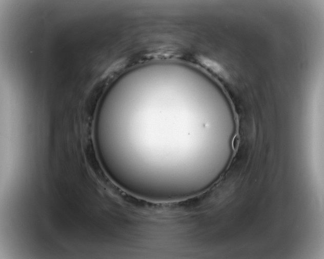 X0000086251399200704121943