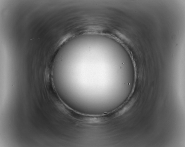 X0000086251401200704121943