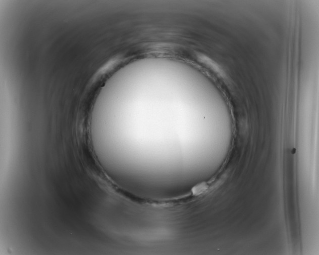 X0000086251403200704121943