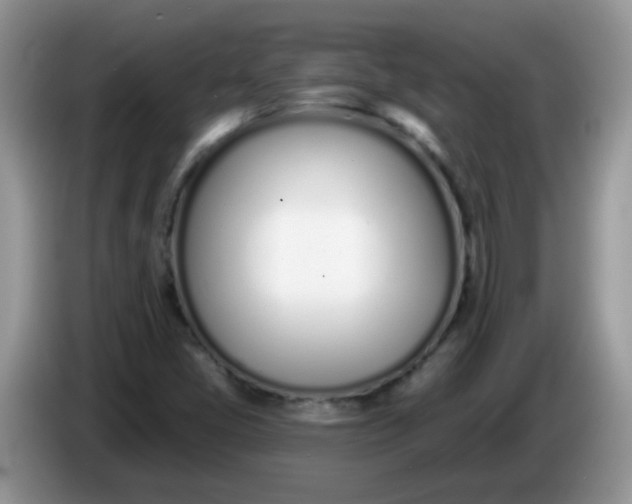 X0000086251405200704121943