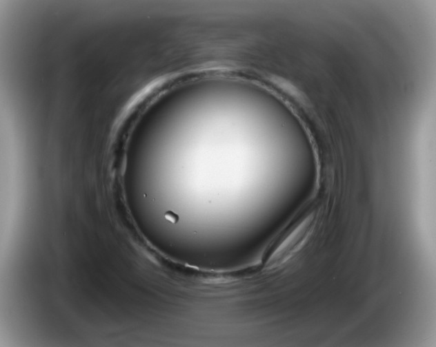 X0000086251406200704121943