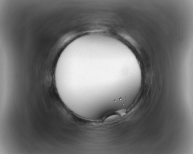 X0000086251407200704121943
