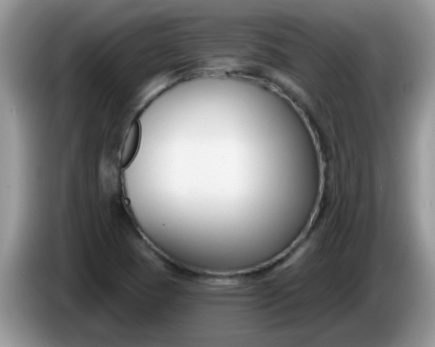 X0000086251409200704121943