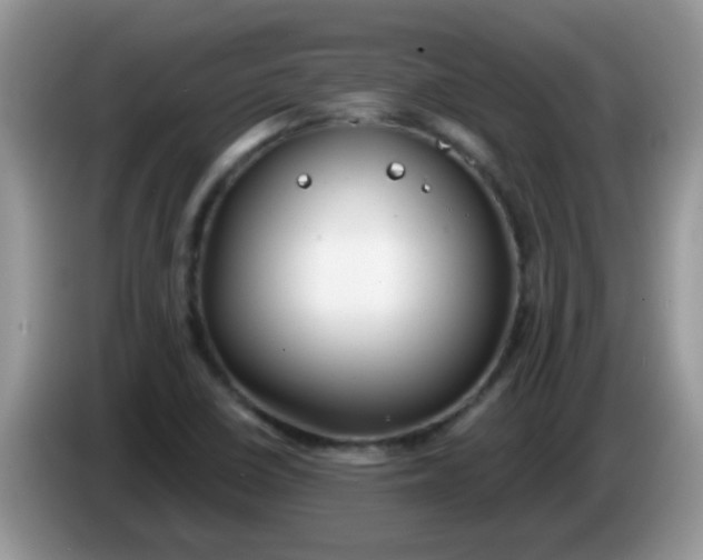 X0000086251410200704121943