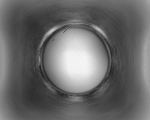 X0000086251413200704121943