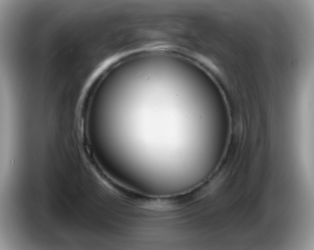 X0000086251414200704121943