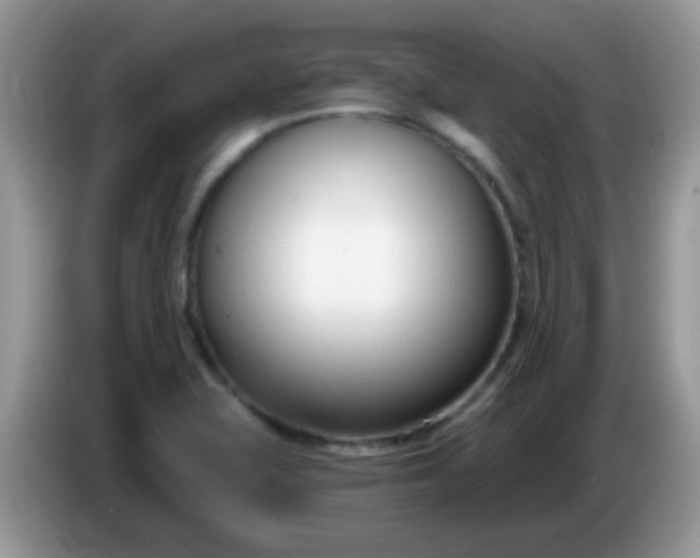 X0000086251415200704121943