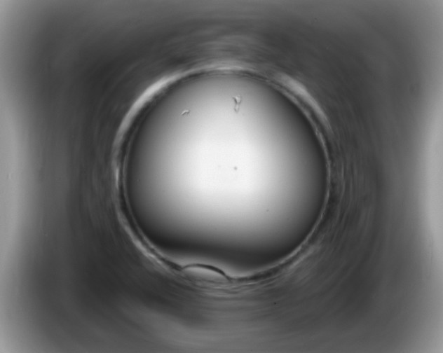X0000086251416200704121943