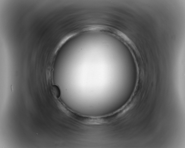 X0000086251417200704121943
