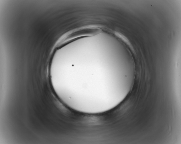 X0000086251420200704121943